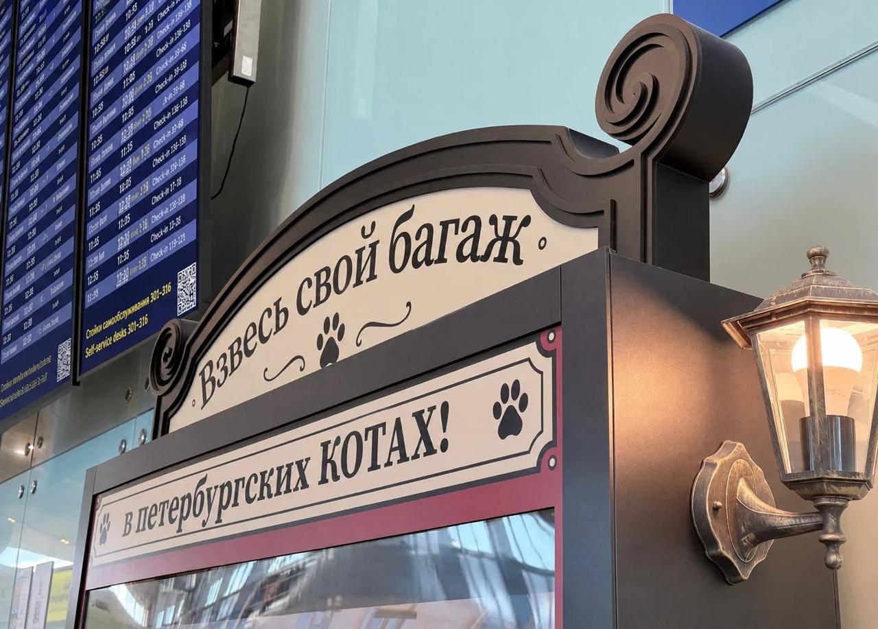 В Пулково появились весы, которые измеряют багаж в котиках. Теперь узнать вес...