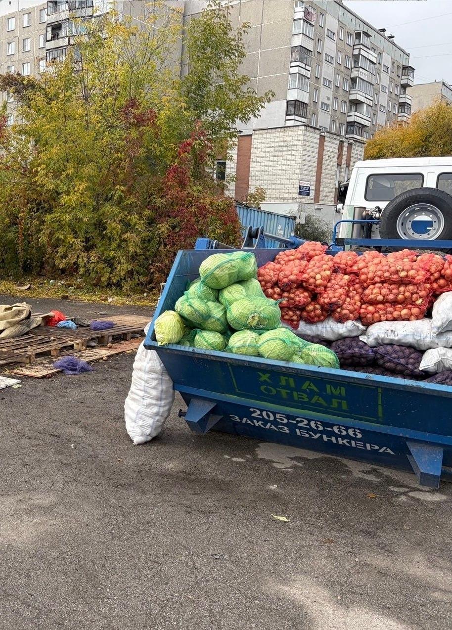 Более 7 тонн овощей конфисковали у нелегальных продавцов в Новосибирске