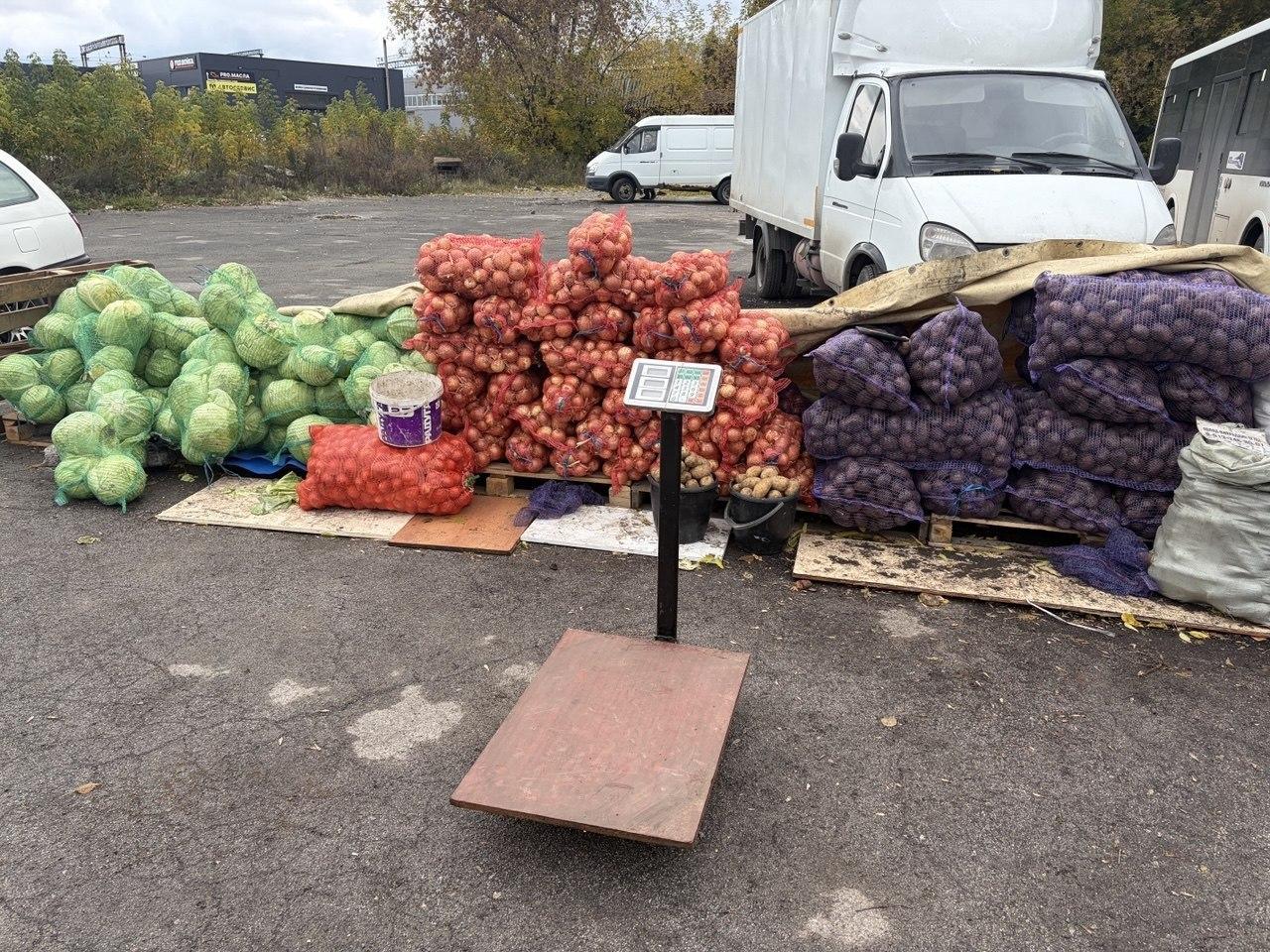 Более 7 тонн овощей конфисковали у нелегальных продавцов в Новосибирске