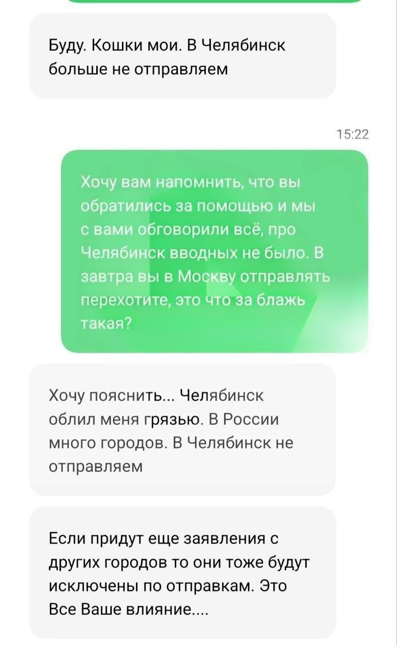 Более 200 котиков-сфинксов разводили в ужасных условиях для продажи на «американский рынок» — многие лысики от инфекций потеряли зубы и зрение