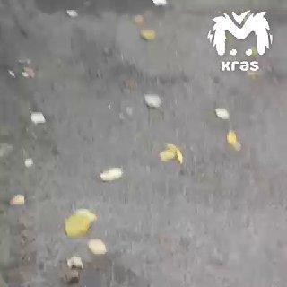 Подросток сломал ключицу из-за провала земли перед красноярской многоэтажкой....