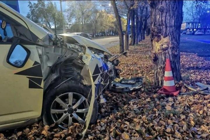 Пьяная автоледи влетела в дерево вместе с детьми.
