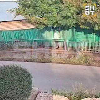 Тело медсестры-анестезиста нашли в погребе частного дома в Оренбурге. Рядом с...