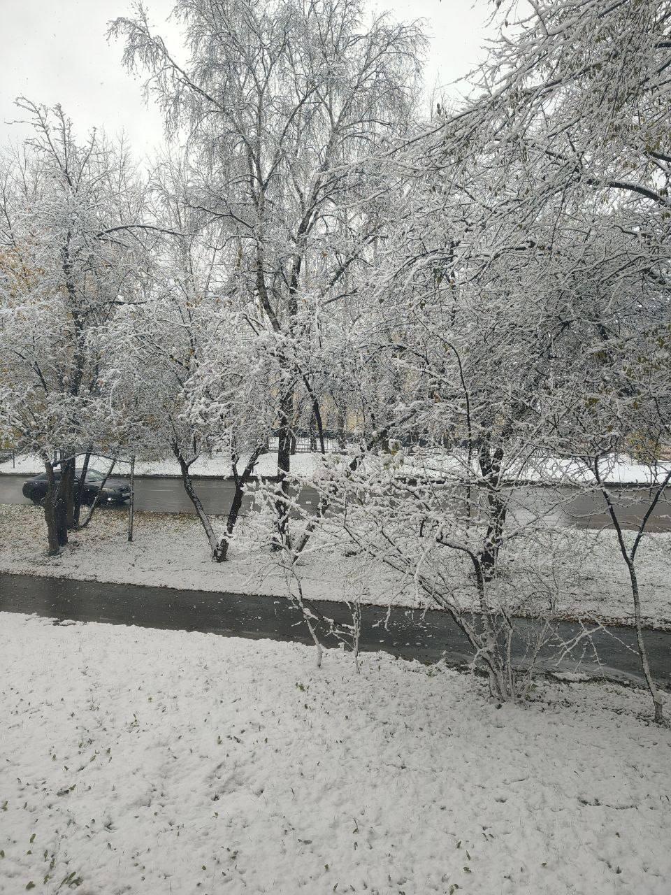 В Ачинске сегодня выпал первый снег ❄ 🇷🇺 Подпишись - ЧП Ачинск 📱 Мы в MAX