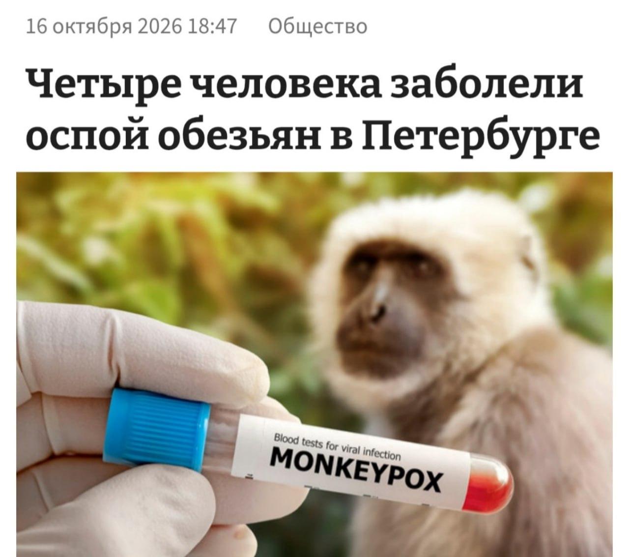 Оспу обезьян выявили у троих человек в Питере — диагноз подтверждён лабораторно, пишут СМИ.