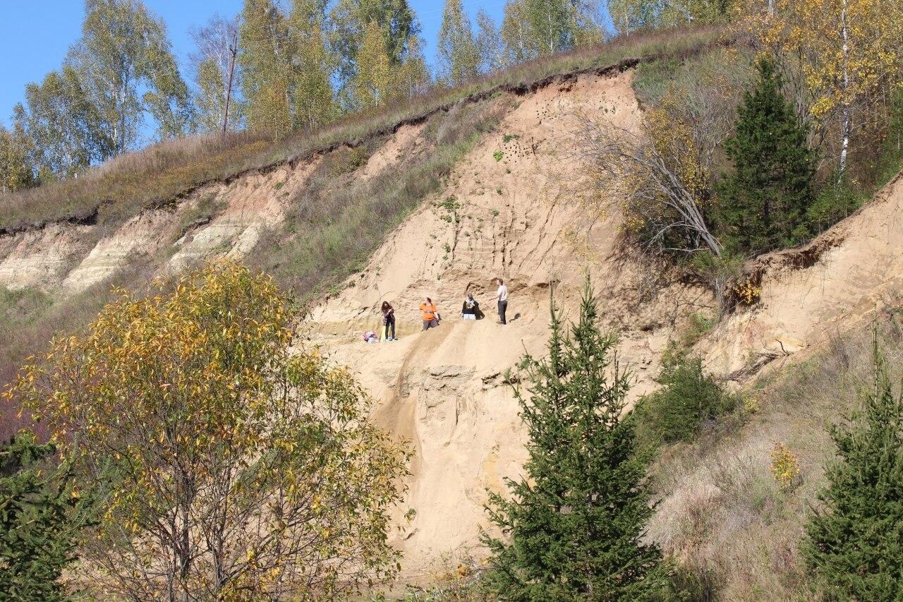 В Красноярском крае нашли кости неизвестного динозавра В Козульском районе...