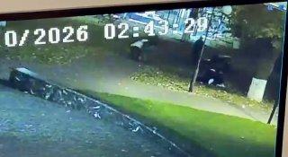 В центре Владикавказа расстреляли чеченского бойца ММА Ибрагима «Никархо» Исламова — СМИ.
