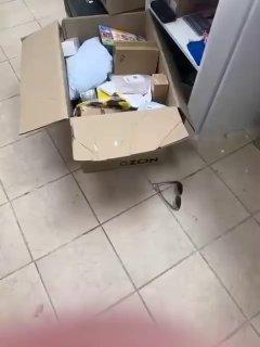 В Приморском крае супруги избили несовершеннолетнюю сотрудницу ПВЗ за замечание