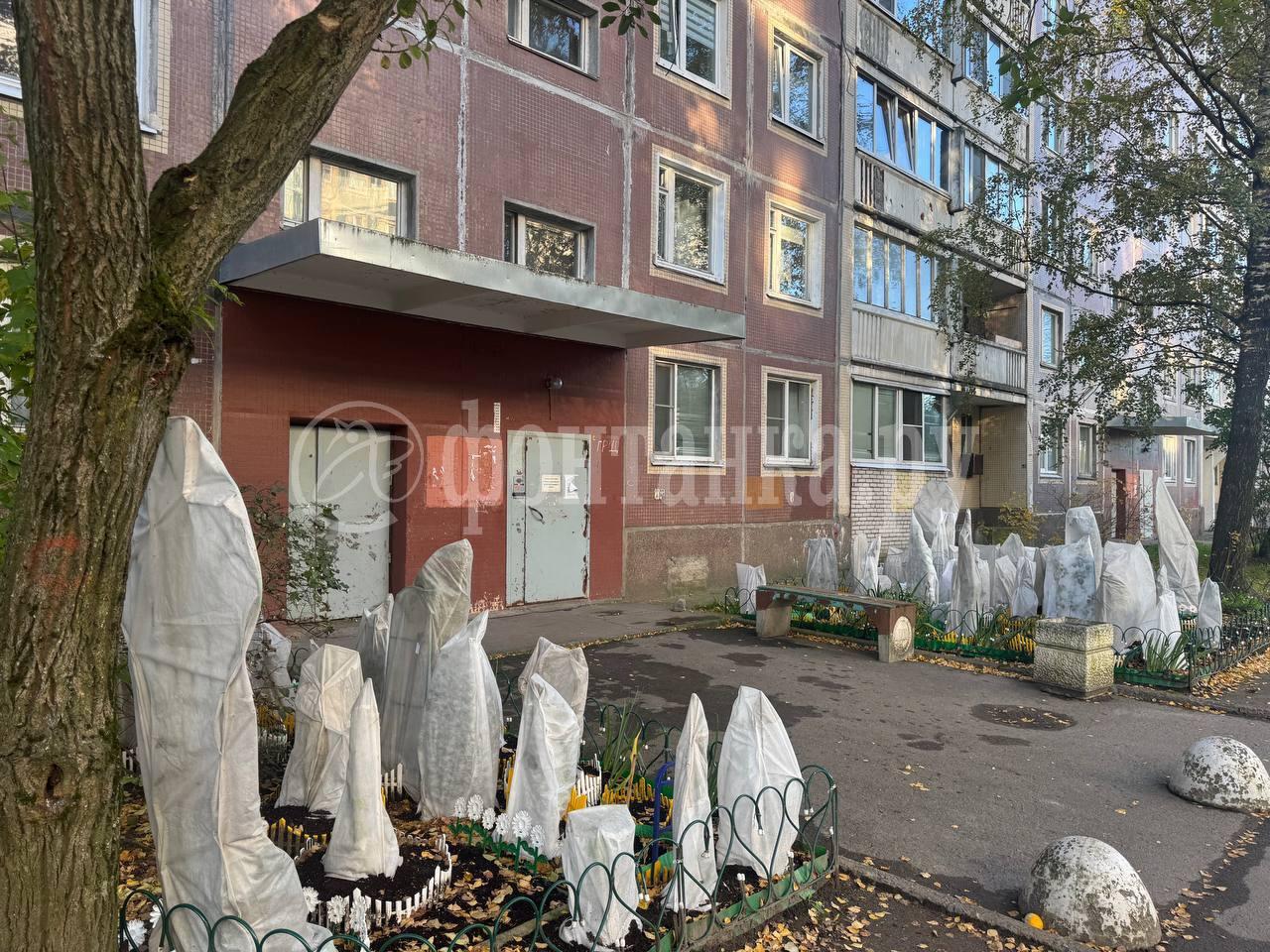 В Колпино цветы приготовились к зиме. На что это похоже — решайте сами. 🇷🇺...
