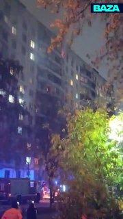 Восемь породистых собак сгорело при пожаре в Москве