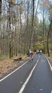Всеми «любимые» воздуходувки добрались и до Битцевского леса Чтобы ни один...