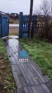 Медведь попытался залезть в окно жилого дома в поселке Усть-Тунгуска...