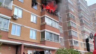 Взрыв прогремел в сосновоборской многоэтажке — пострадала женщина