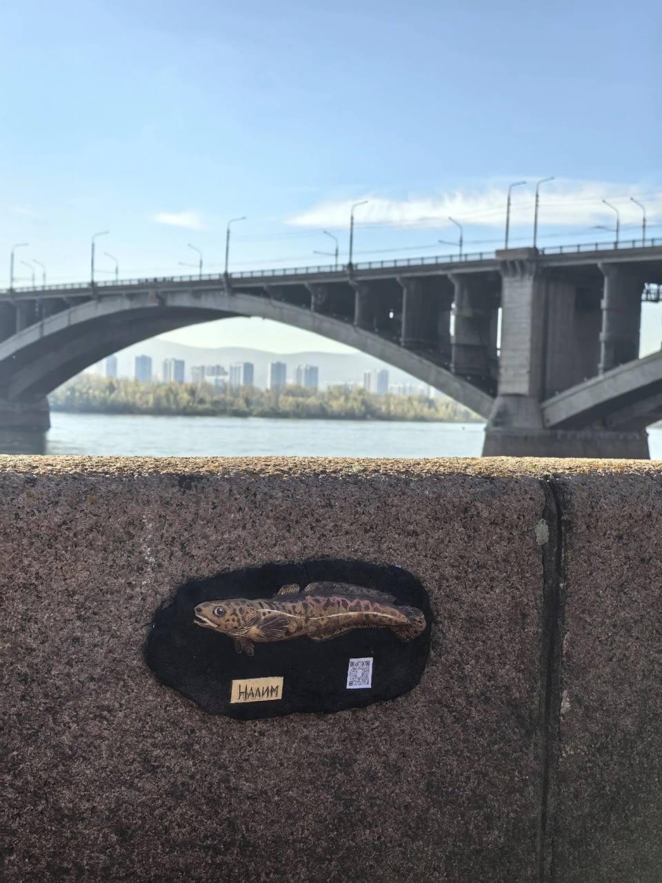 На Центральной набережной появились бронзовые рыбки. Теперь здесь «живут»...