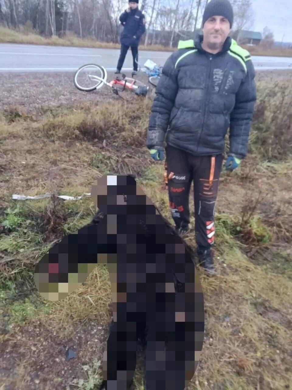 Медведь попытался залезть в окно жилого дома на севере Красноярского края В...