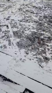 Медведь разгромил таёжный домик главы Минусинского района. Хищник выломал...