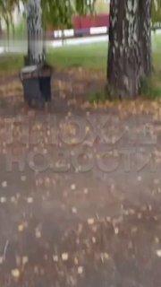 В Новосибирске старик мастурбировал прямо у детской площадки