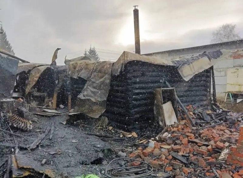 Собака и котята погибли во время пожара на ОбьГЭСе