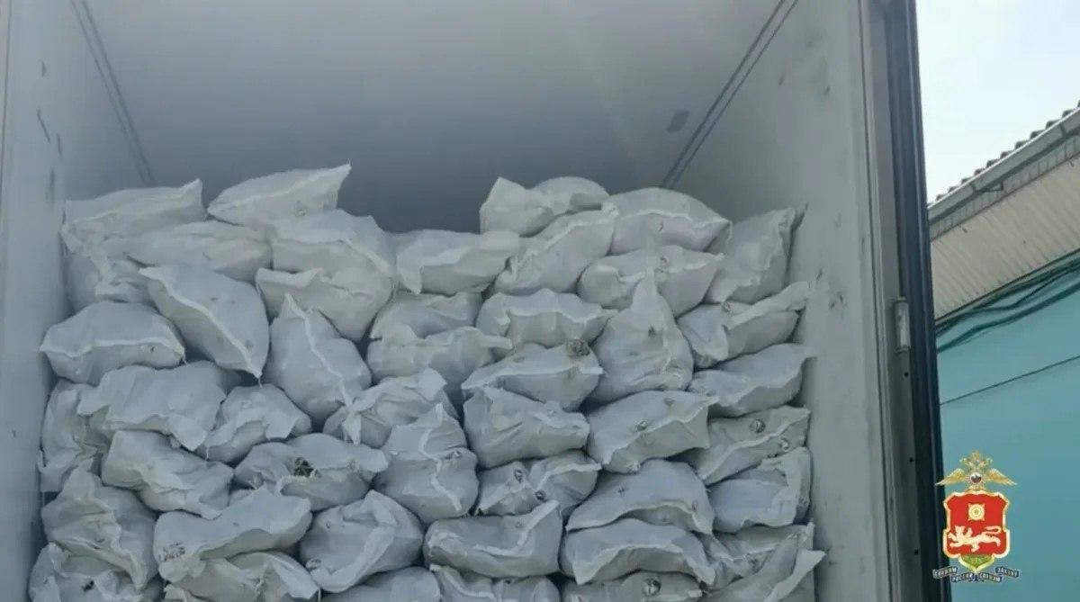 Бизнесмена в Хакасии будут судить за оборот 28 тонн нелегальной рыбы на 20 млн рублей
