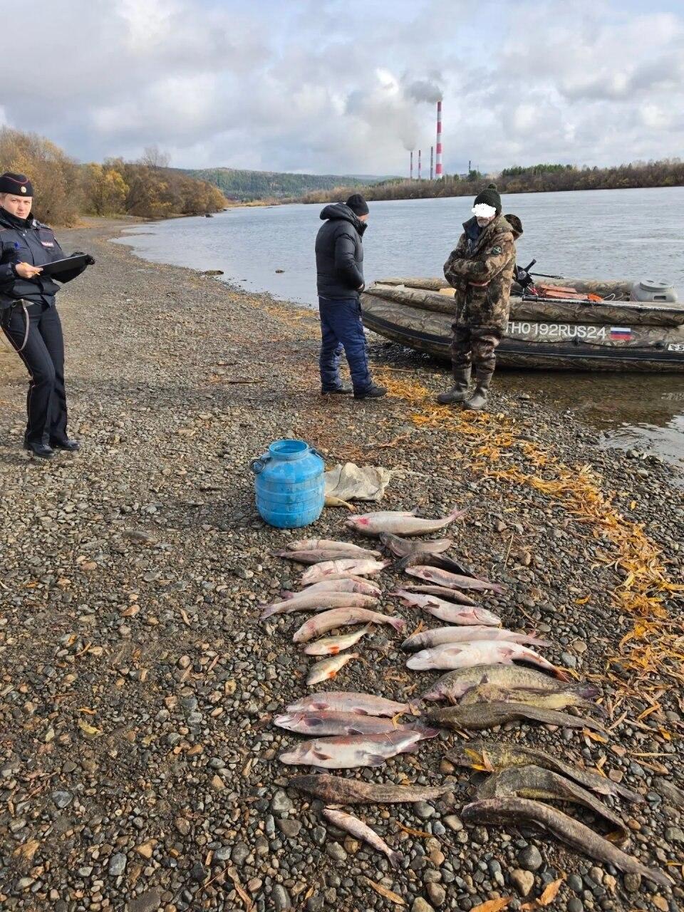 На реках Красноярского края выявили 19 нарушений правил рыболовства В...