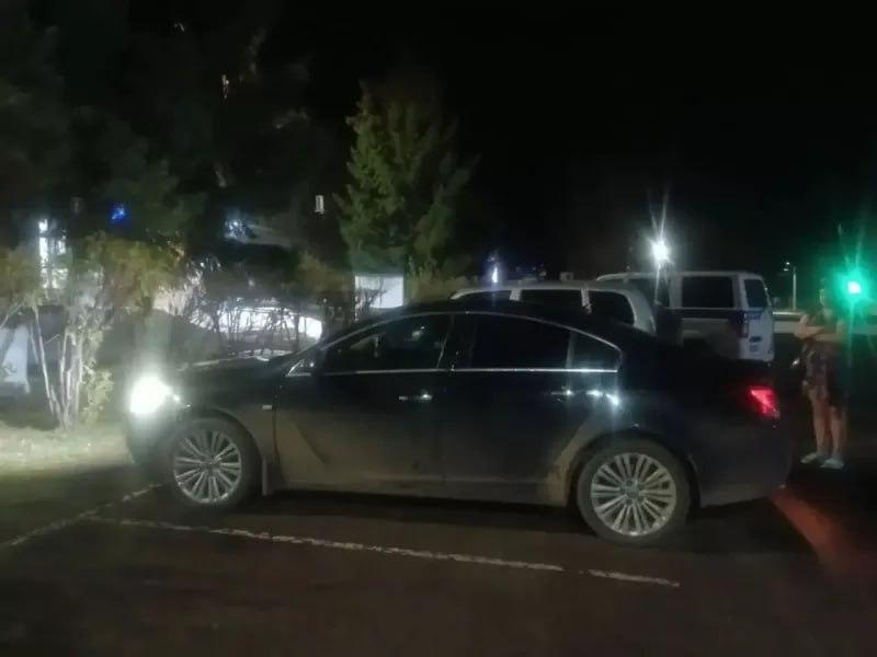 В Абанском МО пьяная автоледи настойчиво предлагала полицейскому деньги В...