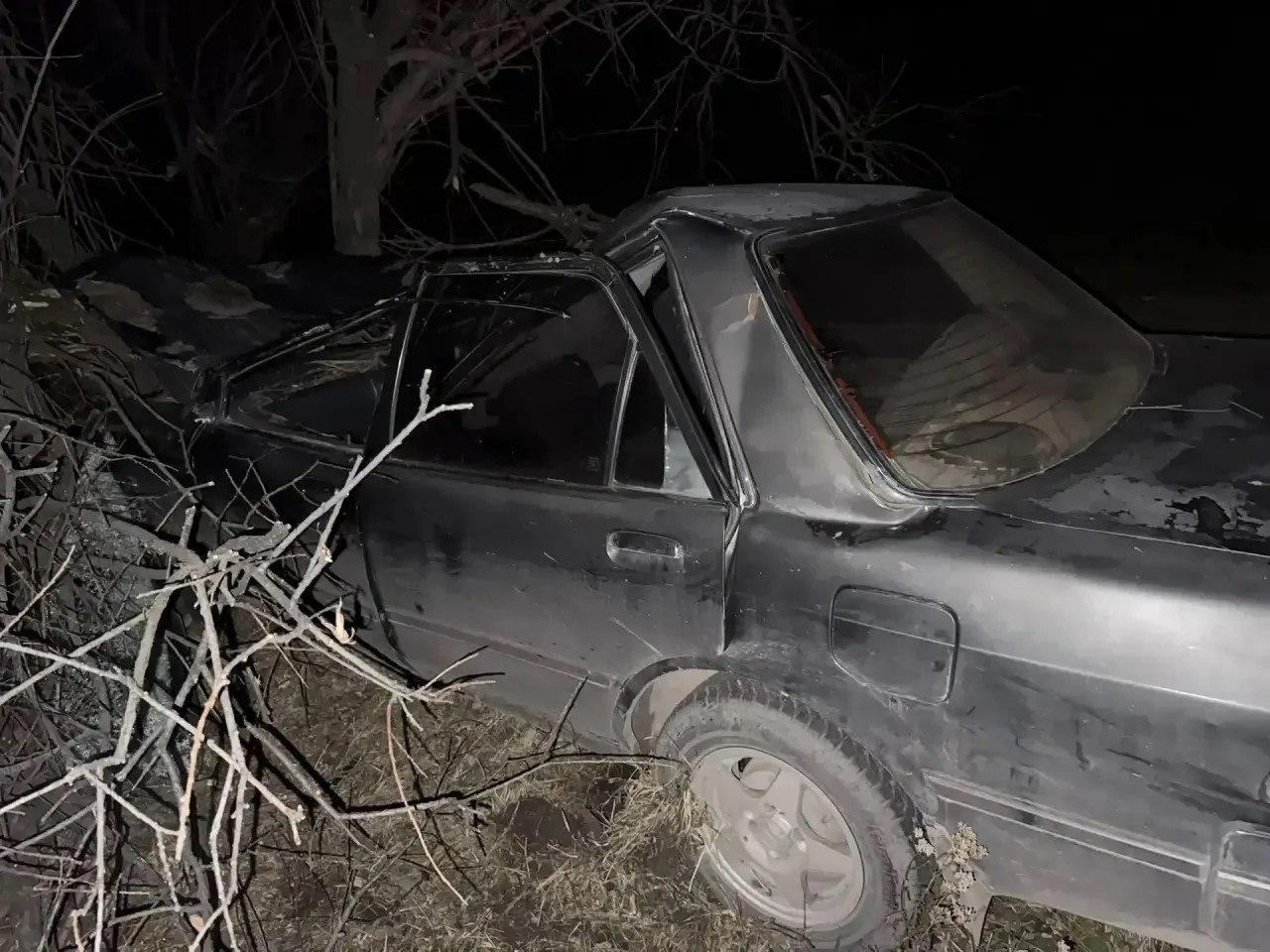 Автоледи врезалась в лошадь, пострадали водитель и подросток ДТП произошло...