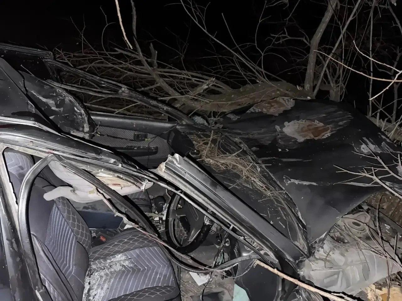 Автоледи врезалась в лошадь, пострадали водитель и подросток ДТП произошло...