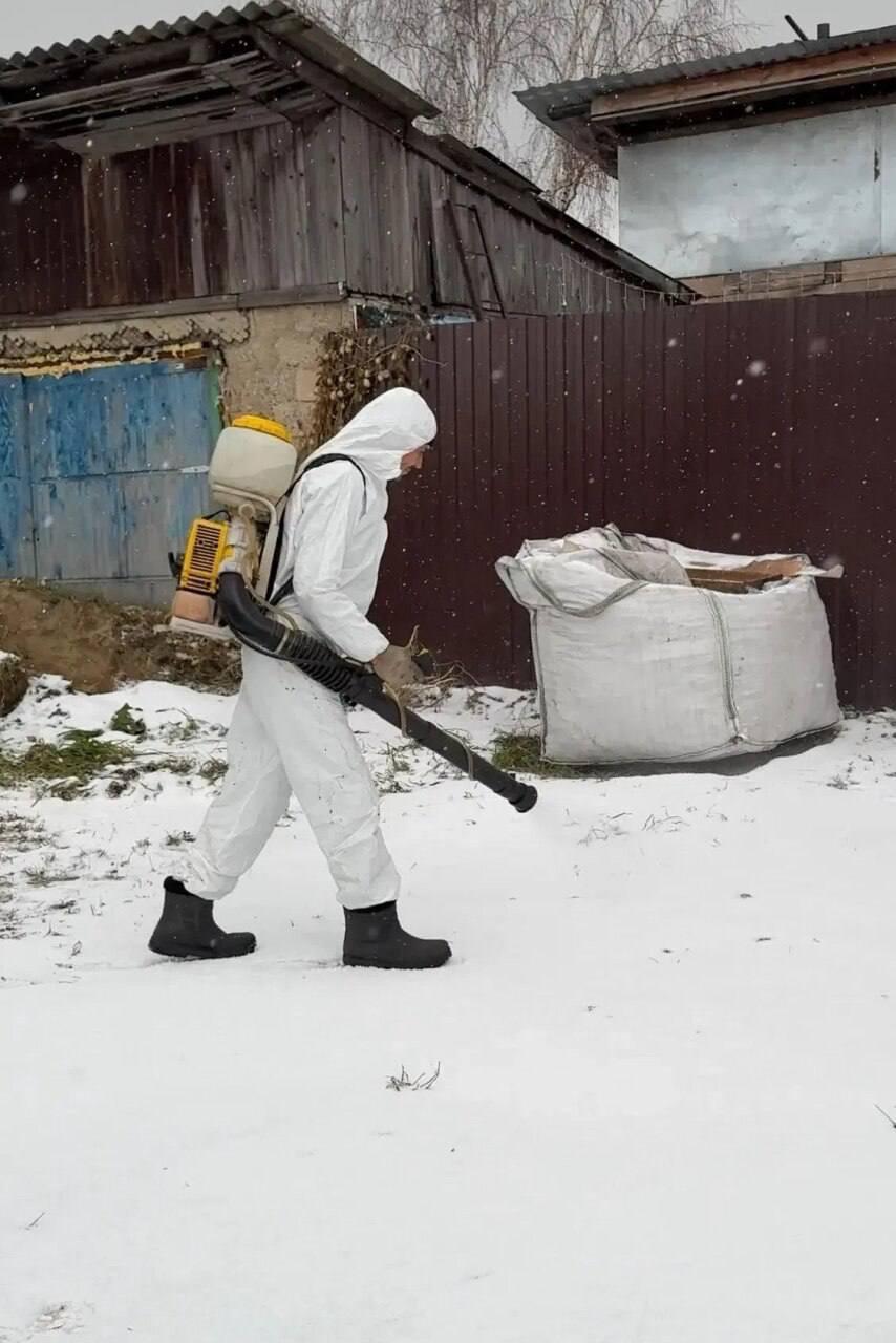 В Иланском ввели карантин из-за выявленного у медведя бешенства С 22 октября...