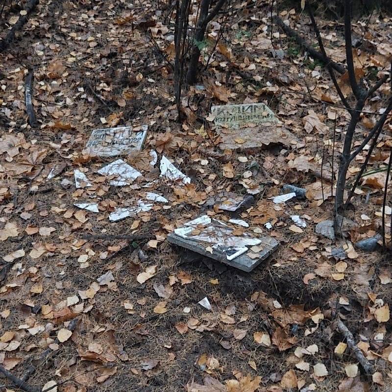 Неизвестные разгромили могилки домашних питомцев у Бабушкинского кладбища. 🇷🇺...