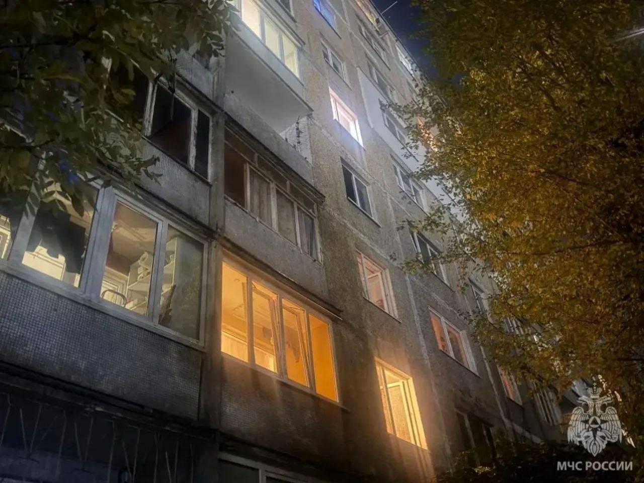 Женщина и 20 кошек погибли в горящей квартире в Калининграде