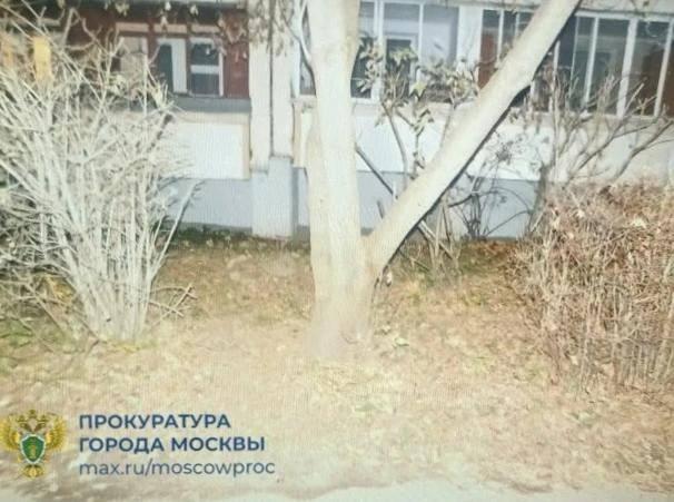 В Москве мигрантка бросила новорождённого на улице, боясь потерять сожителя