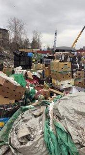 Тонны испорченных продуктов придётся выбросить магазинам Эвенкии. В...