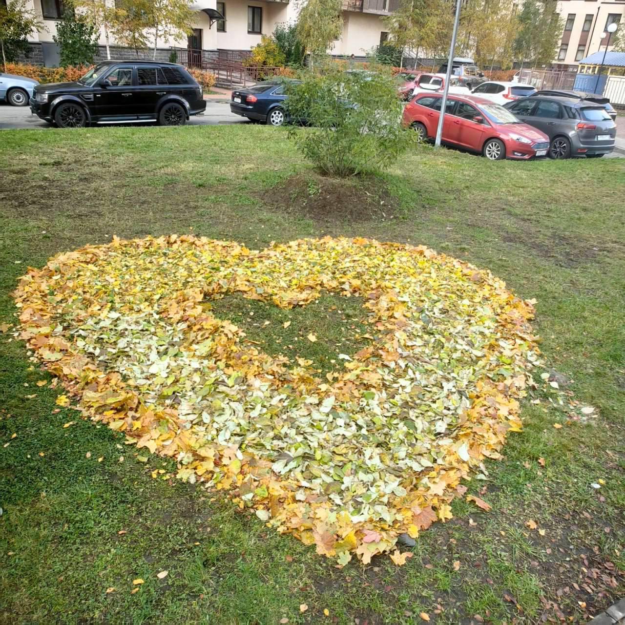 Петербургские дворники решили добавить красок в осеннее настроение горожан....