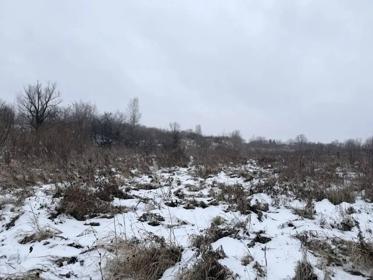 Почти трехдневные поиски 16-летней девочки в Ачинске закончились трагедией: тело пропавшей нашли в микрорайоне «Авиатор»