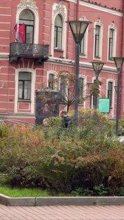 В Питере был замечен ссыкун, который гневно выражал своё недовольство и...