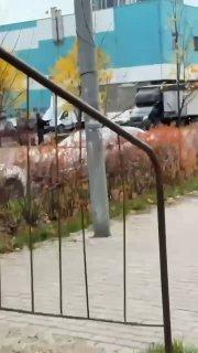 В Химках решили ускорить наступление зимы таким неожиданным образом 🇷🇺...