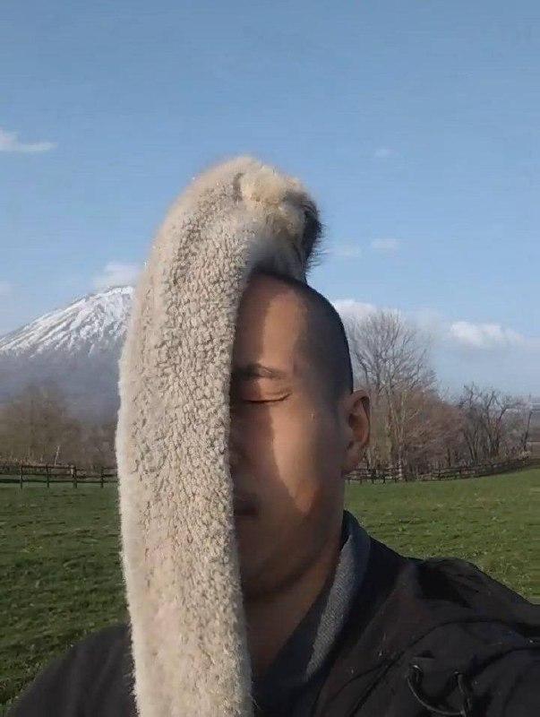 Страусы обожают лысых людей.