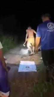 В Таиланде мужик попытался убить огромного питона, но в итоге сам стал его...