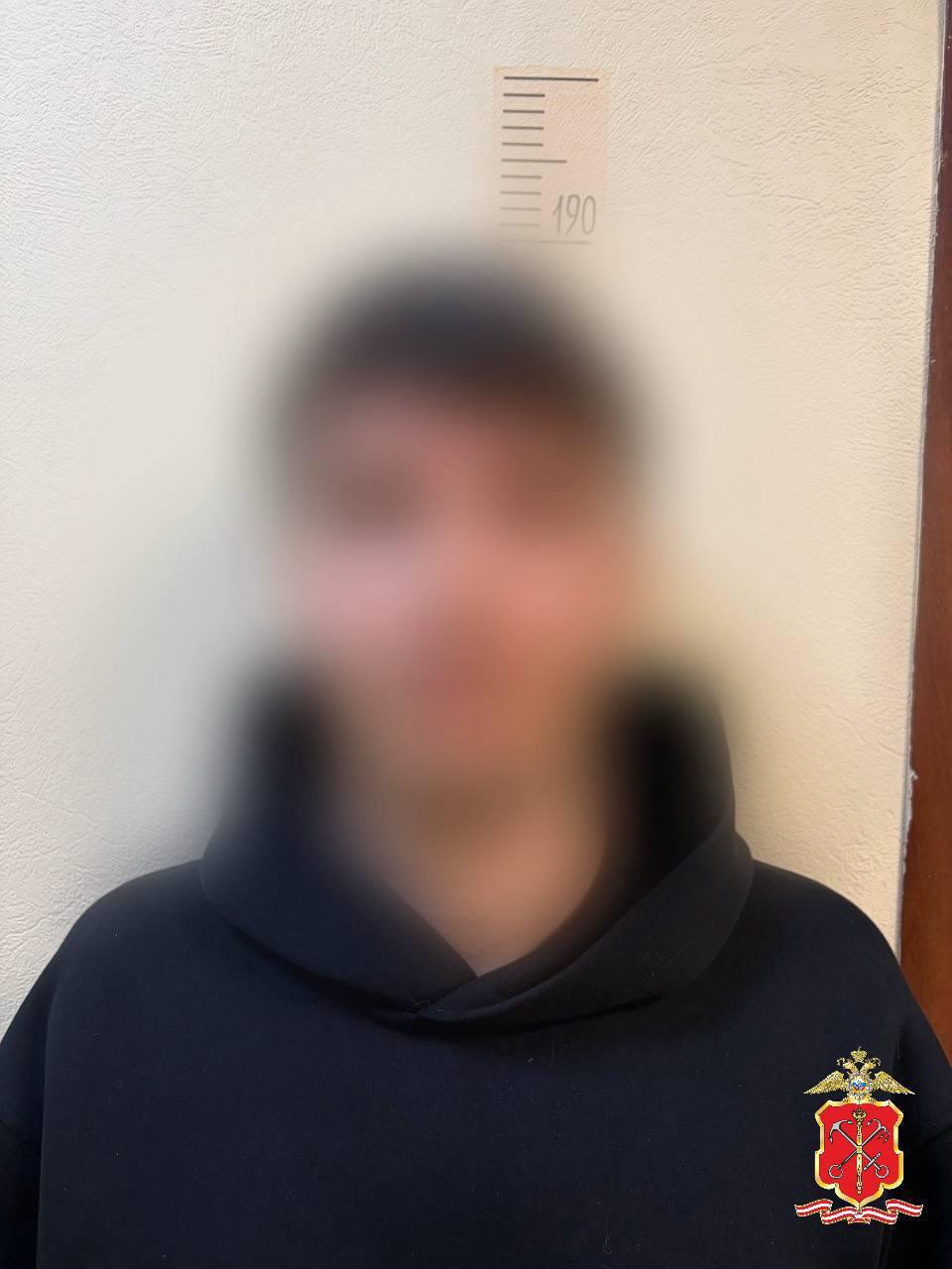 В Петербурге задержали 26-летнего курьера мошенников, обманувшего пенсионерку на 4,3 млн рублей