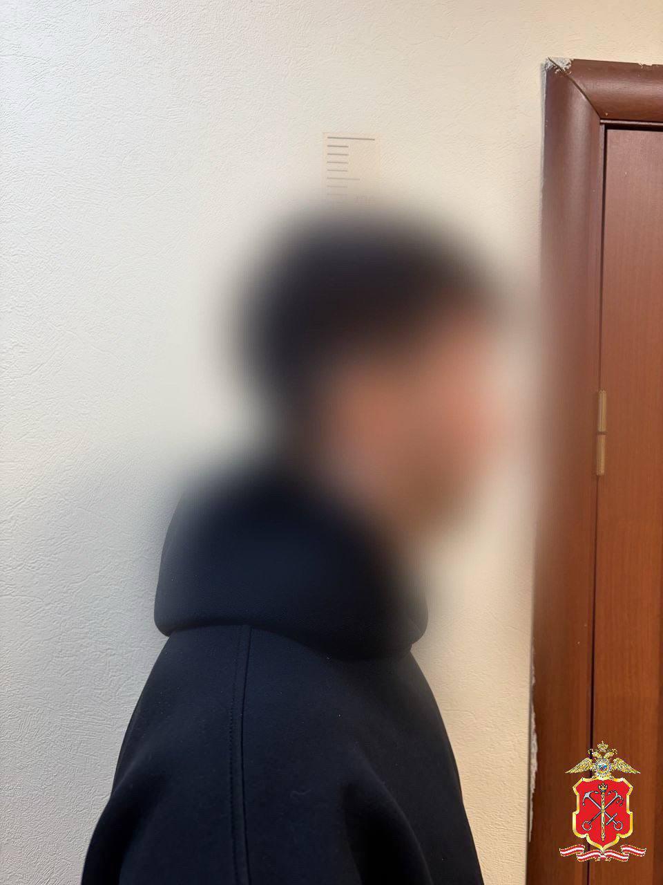 В Петербурге задержали 26-летнего курьера мошенников, обманувшего пенсионерку на 4,3 млн рублей