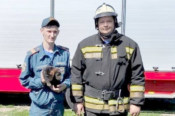 В Минусинске спасатели помогли вызволить щенка из трубы.