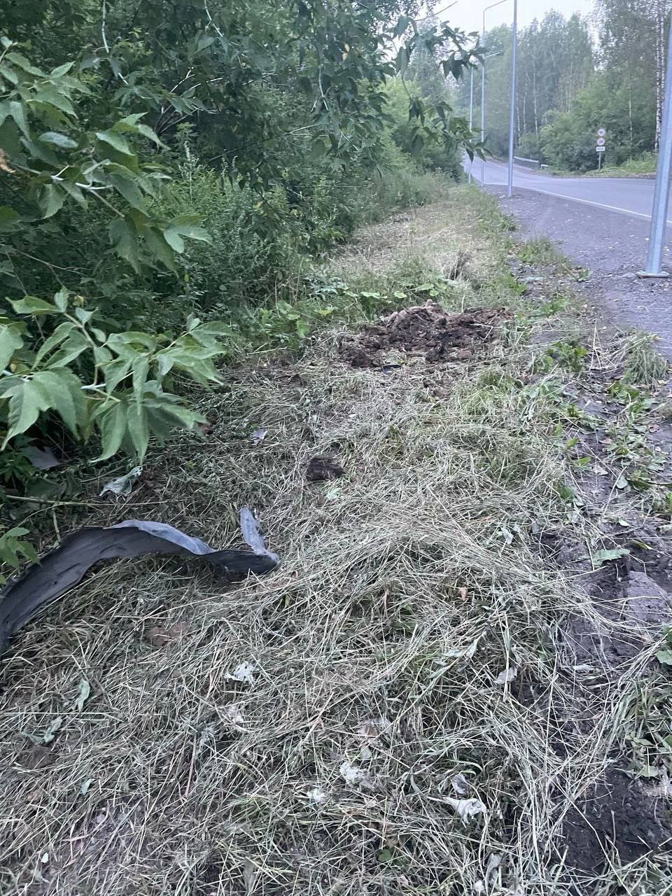 В Новокузнецке на трассе в Листвяги водитель, чтобы не...