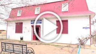 Летучие мыши бились об окна квартиры жителя Новосибирска