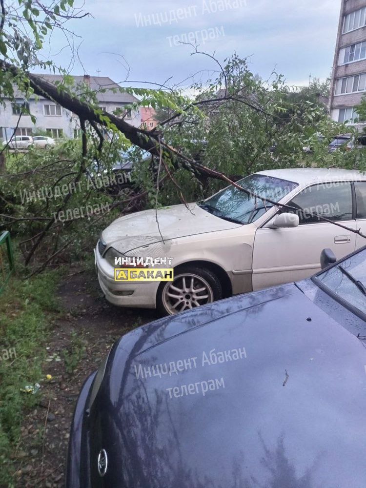 Еще последствия ночной грозы на Согре. Люди неоднократно...