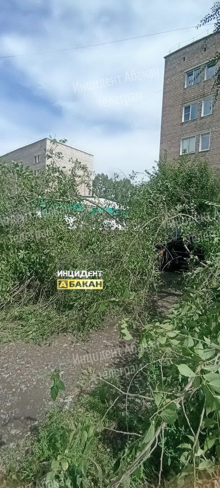 Еще последствия ночной грозы на Согре. Люди неоднократно...