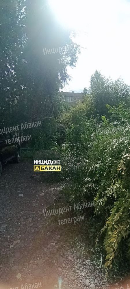 Еще последствия ночной грозы на Согре. Люди неоднократно...