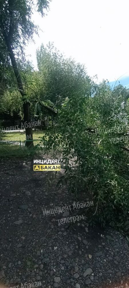 Еще последствия ночной грозы на Согре. Люди неоднократно...