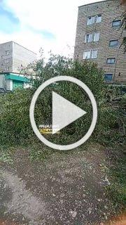 Еще последствия ночной грозы на Согре. Люди неоднократно...