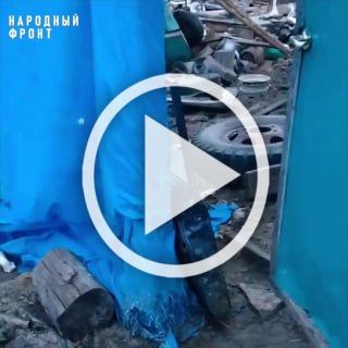 В отношении горе-фермера из села Георгиевка возбудили...