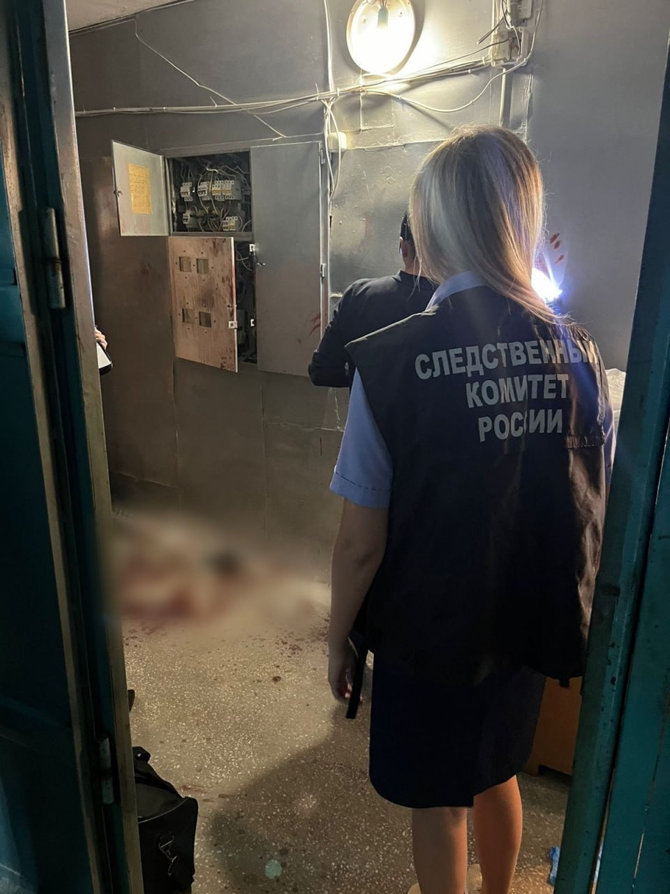 Красноярец обвинил соседа в скручивании электросчетчиков и зарезал его ножом.